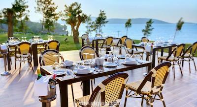 سون سی لایت الیت