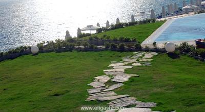 سون سی لایت الیت