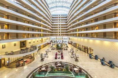 سون سی لایت الیت