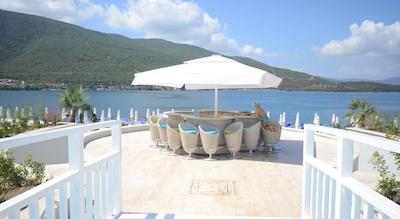 سون سی لایت الیت