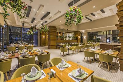 سون سی لایت الیت