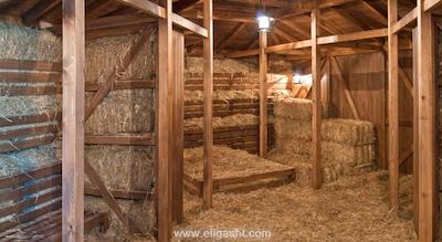 سوئنو هتل دلوکس بلک