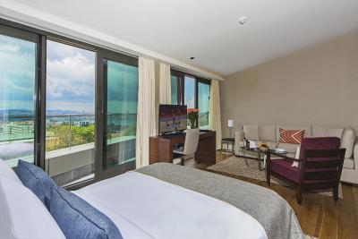 آرتس هتل استانبول بسفروس-اسپشیال کلس