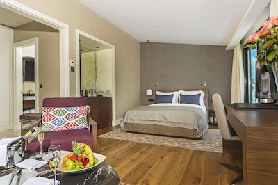 آرتس هتل استانبول بسفروس-اسپشیال کلس