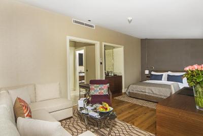 آرتس هتل استانبول بسفروس-اسپشیال کلس