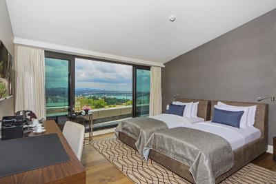 آرتس هتل استانبول بسفروس-اسپشیال کلس