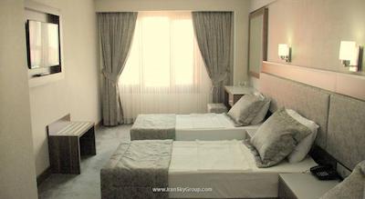 بویوک پاریس