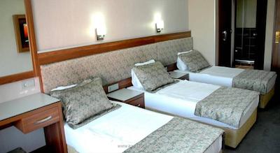 بویوک پاریس