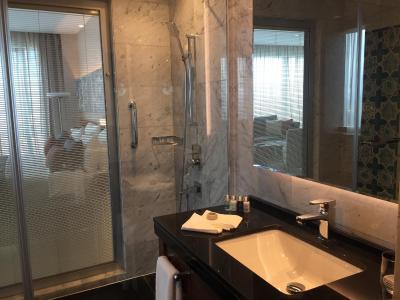 دلتا هتل ماریوت استانبول لونت