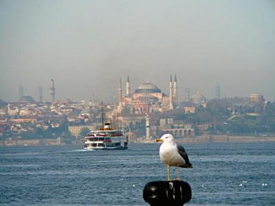 هتل کاسا میا