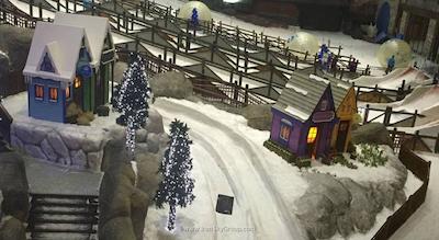 فلورا البرشاء