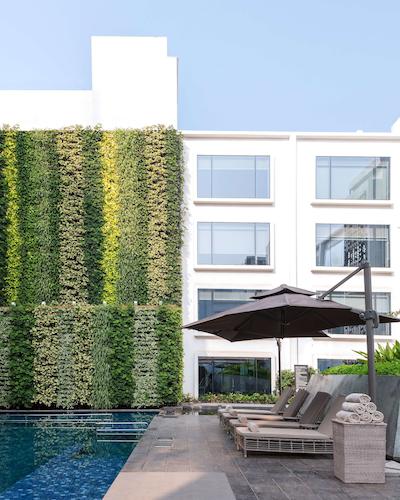 حیات سنترکاندولیم گوا