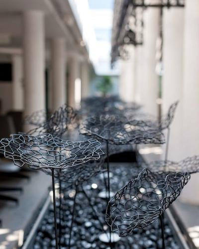 حیات سنترکاندولیم گوا