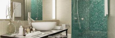 حیات سنترکاندولیم گوا