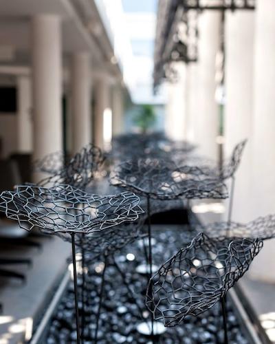 حیات سنترکاندولیم گوا