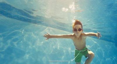 حیات سنترکاندولیم گوا