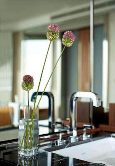 حیات ریجنسی استانبول آتاکوی