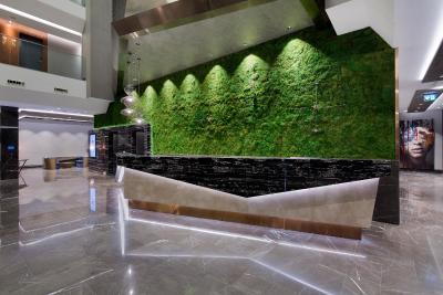 دابل تری بای هیلتون استانبول پیاله پاشا