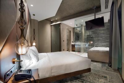 دابل تری بای هیلتون استانبول پیاله پاشا