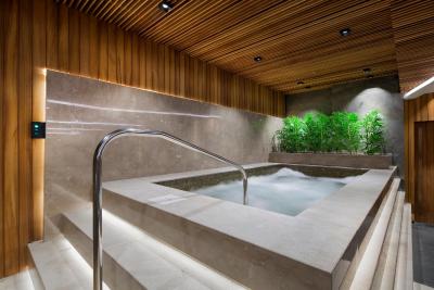 دابل تری بای هیلتون استانبول پیاله پاشا