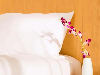 آیبیس وان سنترال