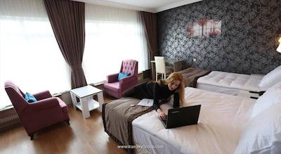 دستینو پارک هتل