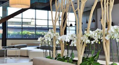 هیلتون گردن این میلان نورث