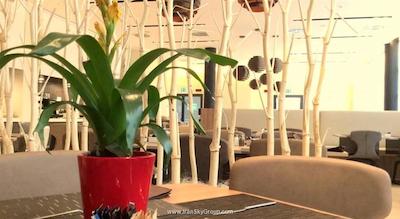 هیلتون گردن این میلان نورث