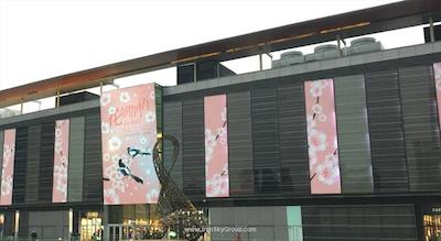 نوع هتل بیجینگ