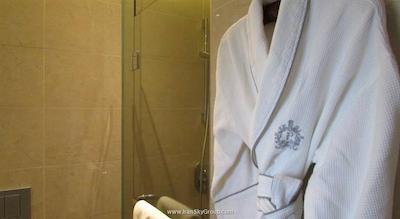 پارک هتل الکساندرا