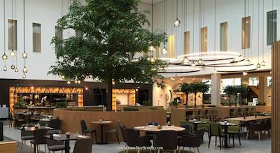 نووتل امستردام اسکیپول ایرپرت