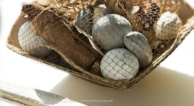 گالاتا ویستا سوئیت