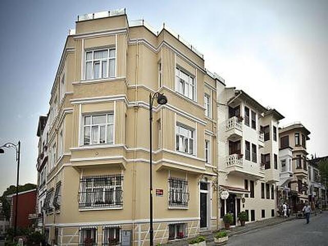 ساری کناک