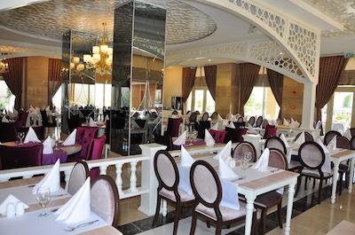 ساید کراون چرم پالاس