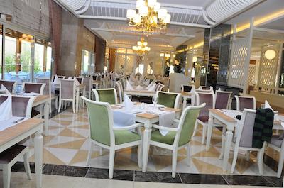 ساید کراون چرم پالاس