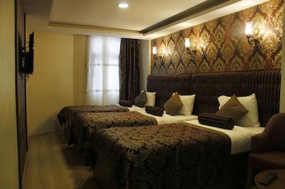 مارمارا پلیس استانبول اولد سیتی هتل