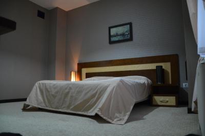 کاسپیا پارک هتل باکو