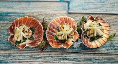 نیکی بیچ ریزورت اند اسپا دبی