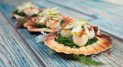 نیکی بیچ ریزورت اند اسپا دبی