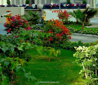 هوم تو هومو آپارتمان