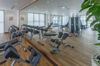 د فرست کالکشن مارینا