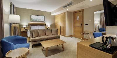 دابل تری بای هیلتون هتل استانبول-توزلا