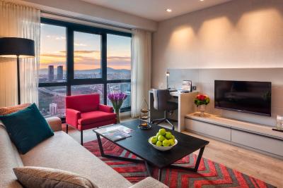 فریزر پلیس آنتاسیا استانبول