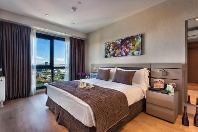 فریزر پلیس آنتاسیا استانبول