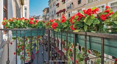 آی ‌کیو هاوس میس