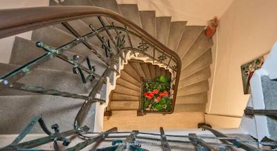 آی ‌کیو هاوس میس