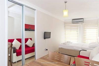 اورتاکوی اپارت