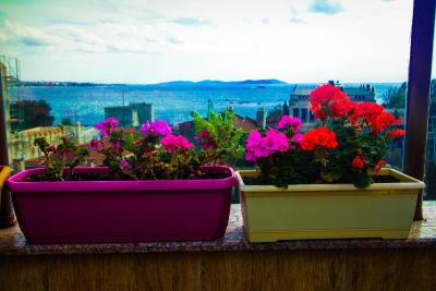 اسانس هتل-اسپشیال کتگوری