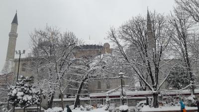 اسانس هتل-اسپشیال کتگوری