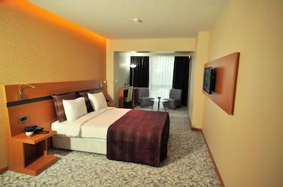 هتل اوساکا ایرپورت